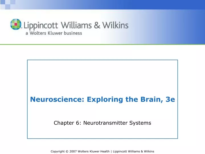 neuroscience exploring the brain 3e
