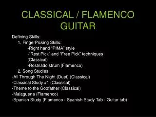 CLASSICAL / FLAMENCO GUITAR