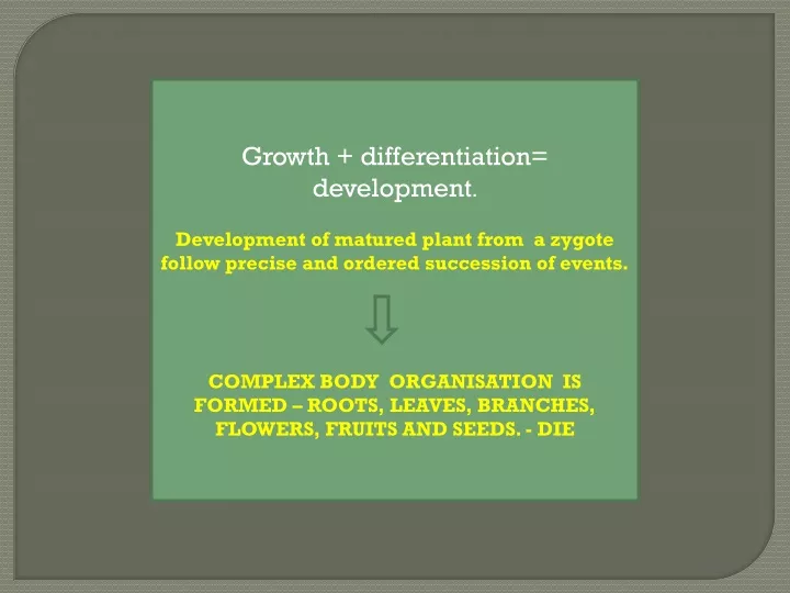 growth differentiation development development