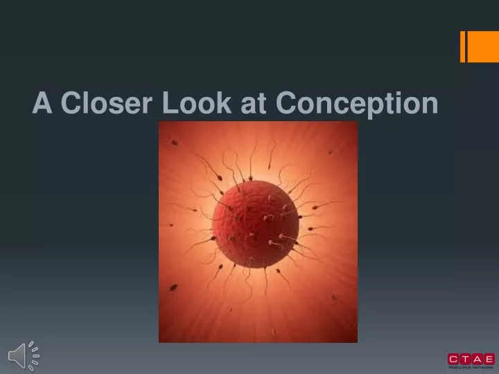 a closer look at conception