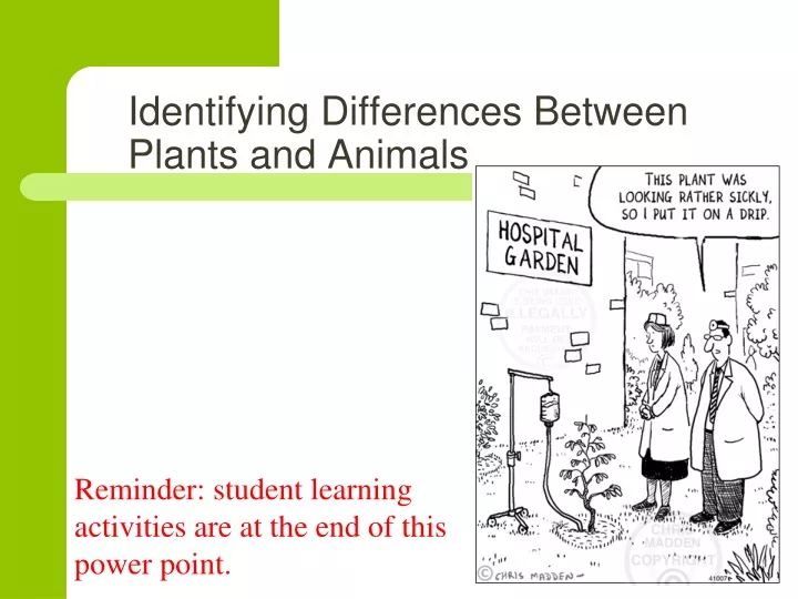 identifying differences between plants and animals