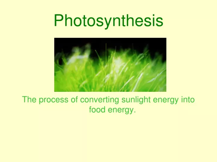 photosynthesis