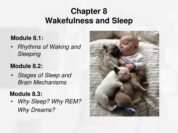 chapter 8 wakefulness and sleep