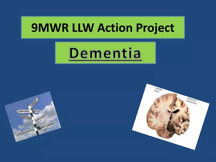9mwr llw action project