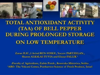 TOTAL ANTIOXIDANT ACTIVITY (TAA) OF BELL PEPPER  DURING PROLONGED STORAGE ON LOW TEMPERATURE