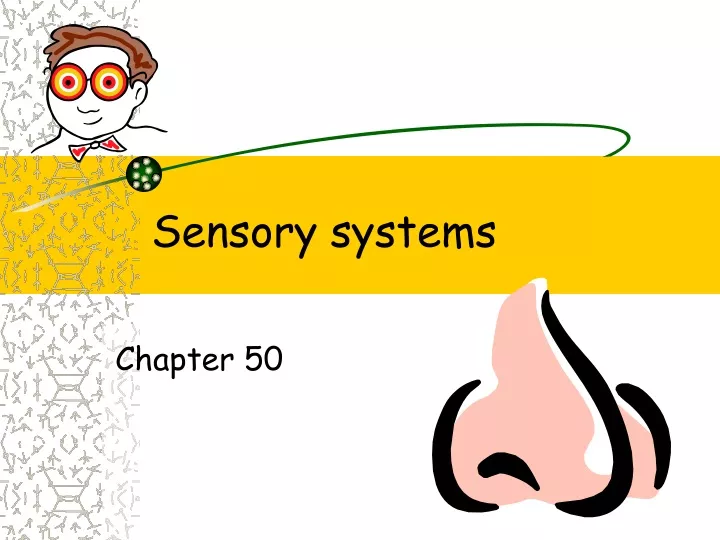 sensory systems