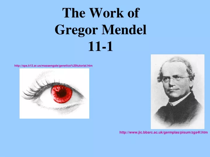the work of gregor mendel 11 1