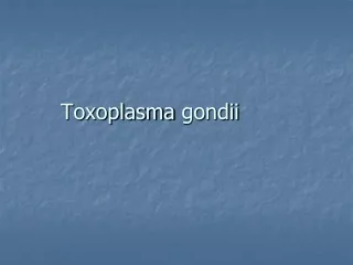 Toxoplasma  gondii