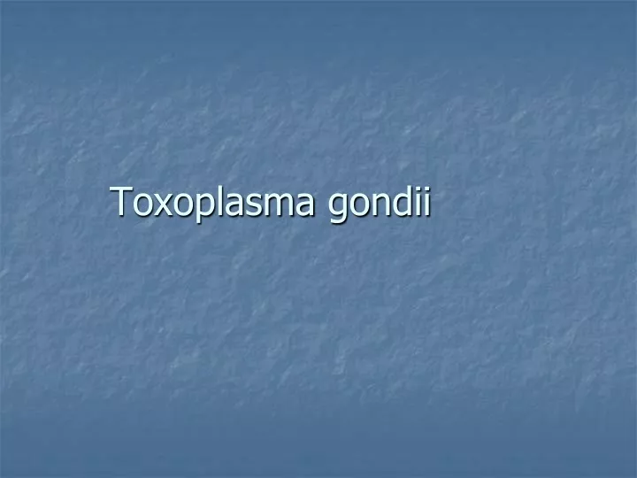 toxoplasma gondii