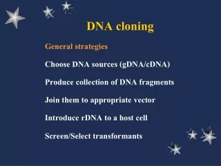 DNA cloning
