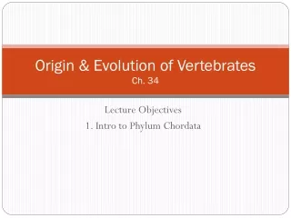 Origin &amp; Evolution of Vertebrates Ch. 34