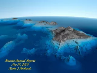 Hawaii Annual Report Nov 19, 2008 Kevin J Richards