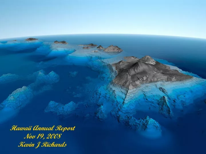 hawaii annual report nov 19 2008 kevin j richards