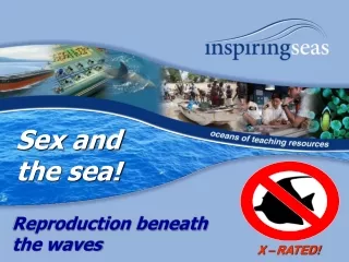 Sex and  the sea!