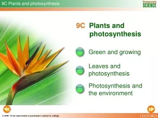 9C Plants and photosynthesis