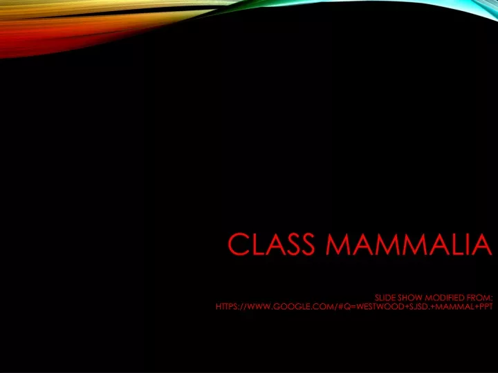 class mammalia slide show modified from https www google com q westwood sjsd mammal ppt