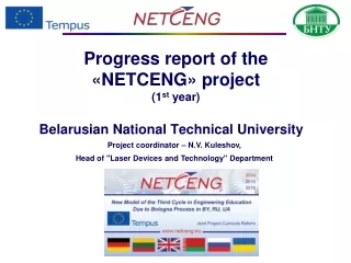 Progress report of the « NETCENG »  project (1 st  year)