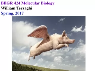BEGR 424 Molecular Biology William Terzaghi Spring, 2017