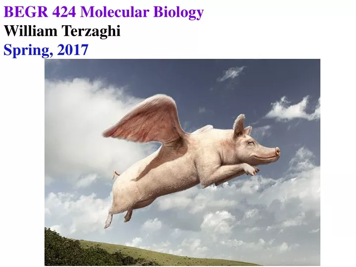 begr 424 molecular biology william terzaghi