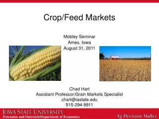 Crop/Feed Markets