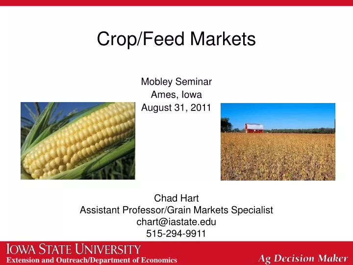crop feed markets
