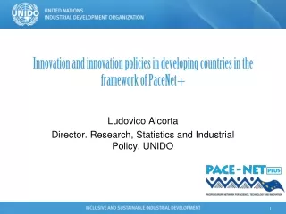 Innovation and innovation policies in developing countries in the framework of PaceNet+
