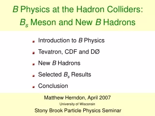 B  Physics at the Hadron Colliders:  B s  Meson and New  B  Hadrons