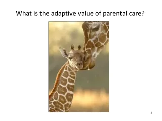 What is the adaptive value of parental care?