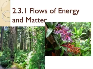 2.3.1 Flows of Energy and Matter