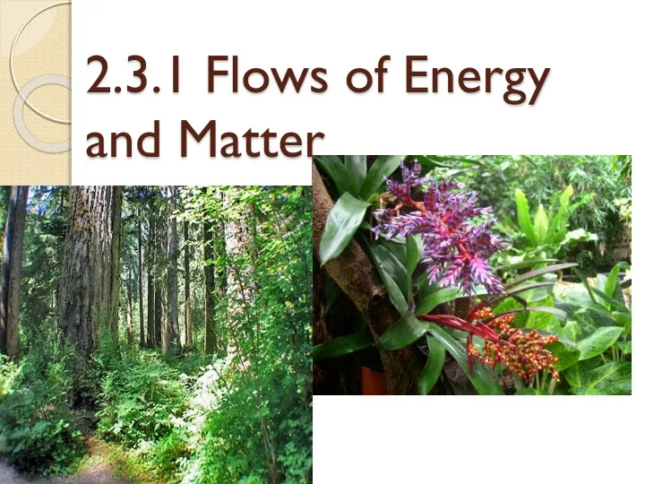 2 3 1 flows of energy and matter