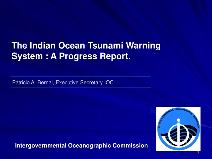 the indian ocean tsunami warning system
