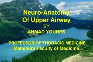 Neuro-Anatomy  Of Upper Airway  BY AHMAD YOUNES PROFESSOR OF THORACIC MEDICINE