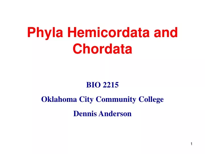 phyla hemicordata and chordata