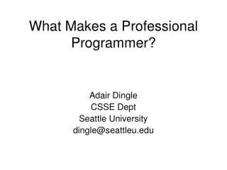 What Makes a Professional Programmer?
