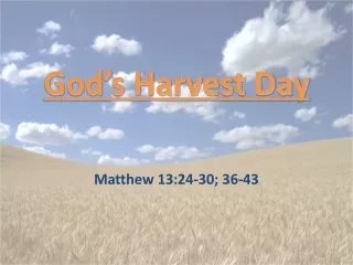 God’s Harvest Day