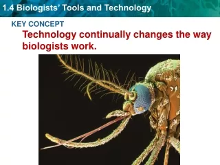 KEY CONCEPT Technology continually changes the way biologists work.