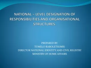 NATIONAL – LEVEL DESIGNATION OF RESPONSIBILITIES AND ORGANISATIONAL STRUCTURES.