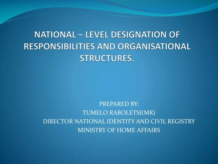 national level designation of responsibilities and organisational structures