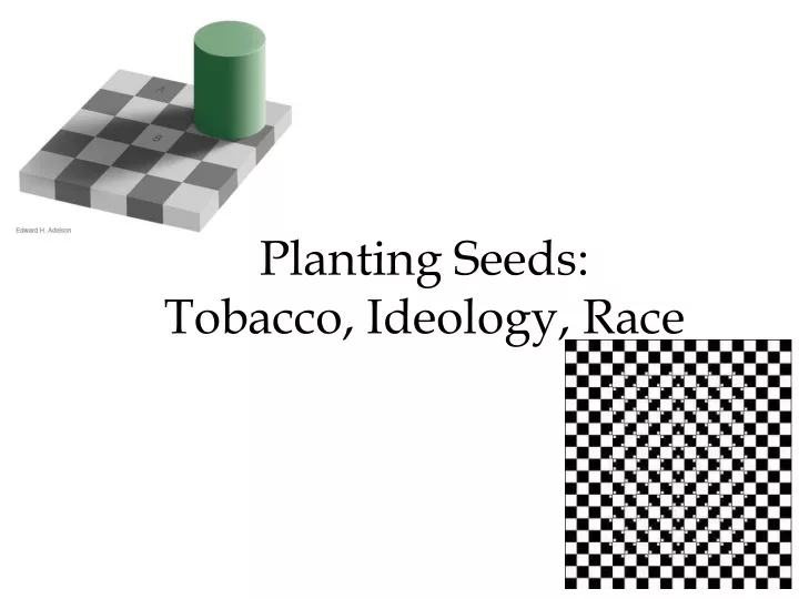 planting seeds tobacco ideology race