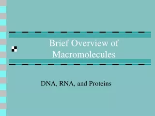 Brief Overview of Macromolecules