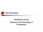 The Evolution and Physiology of Vertebrates: An Overview of Chordata Diversity - slide 1