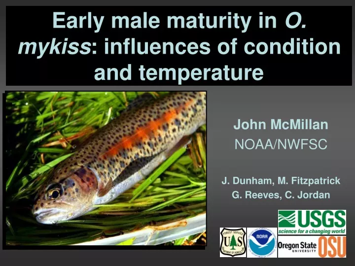 early male maturity in o mykiss influences of condition and temperature