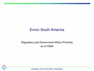 Enron South America