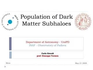 Population of Dark Matter Subhaloes