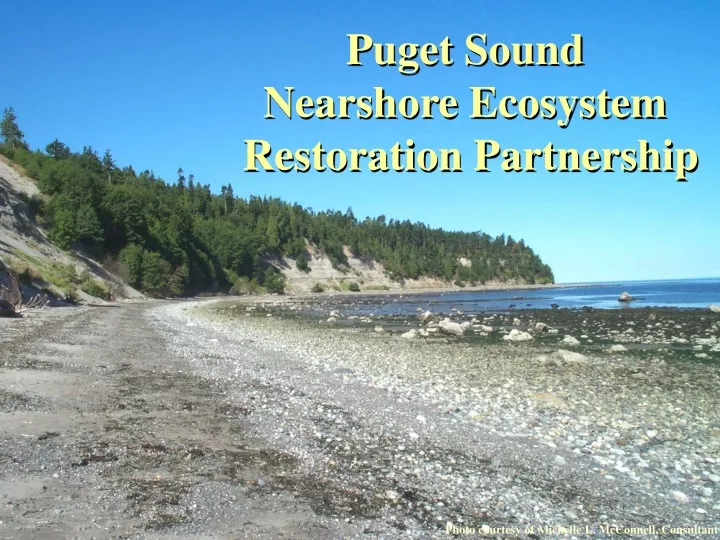 puget sound nearshore ecosystem restoration