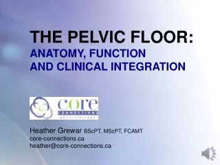THE PELVIC FLOOR: ANATOMY, FUNCTION  AND CLINICAL INTEGRATION