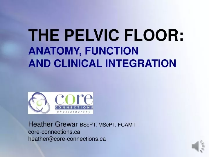 the pelvic floor anatomy function and clinical