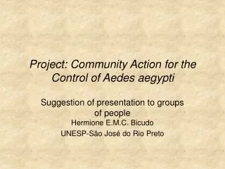 Project: Community Action for the Control of Aedes aegypti