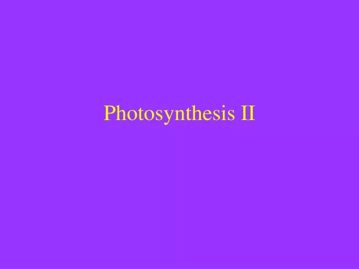 photosynthesis ii