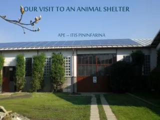 OUR VISIT TO AN ANIMAL SHELTER